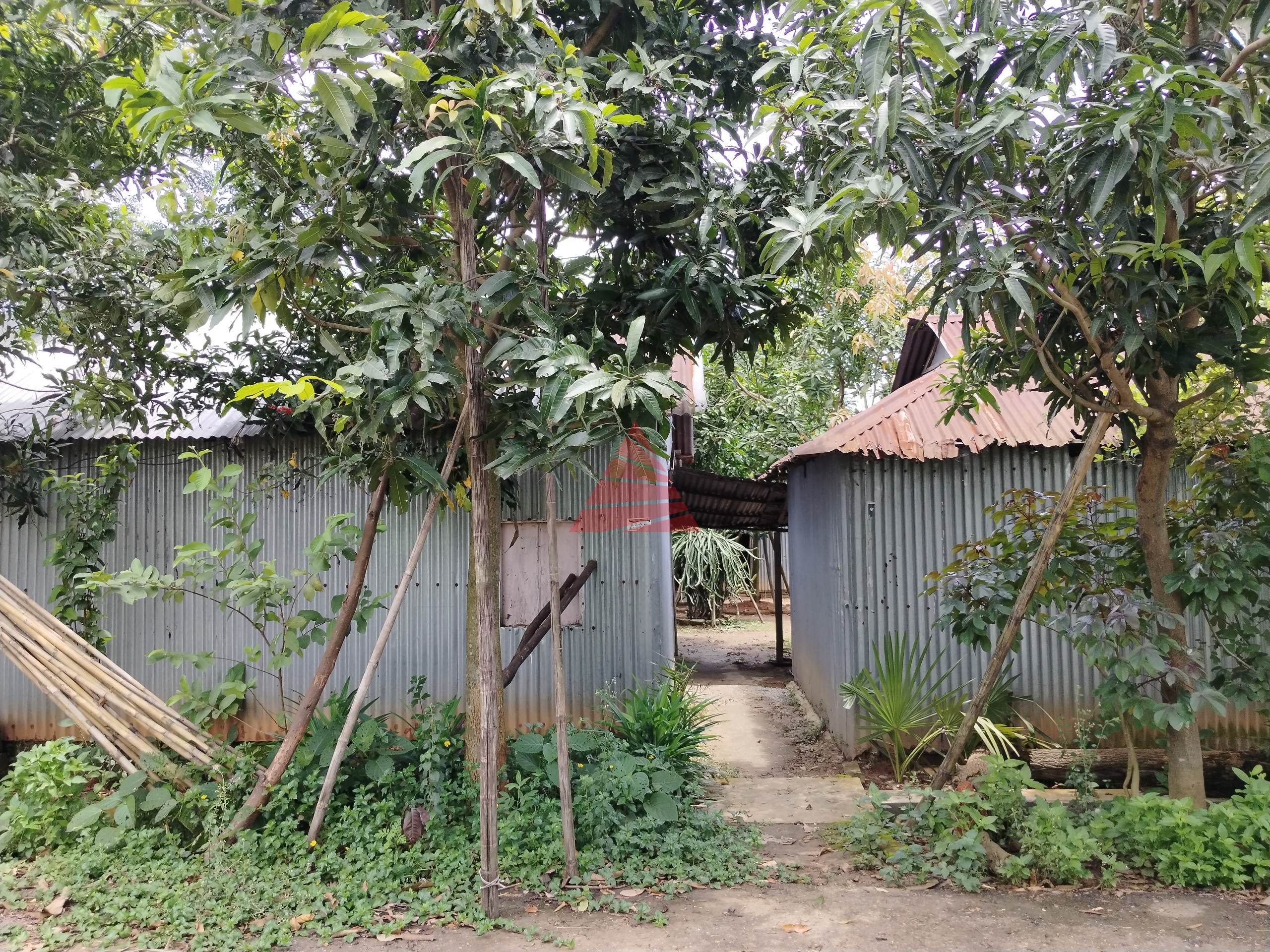 5 Katha in S-28 Purbachal